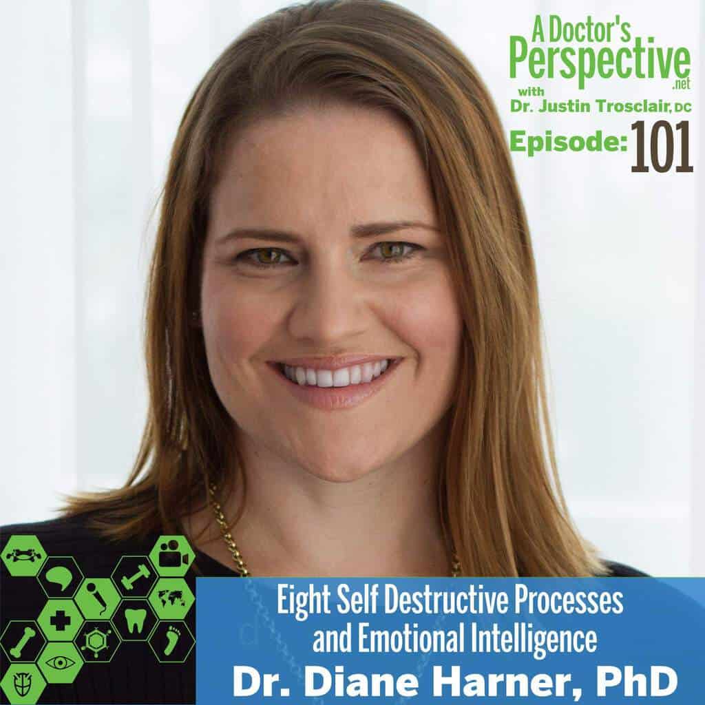 Diane Harner phd e 101 a doctors perspective podcast EI neuroscience stress