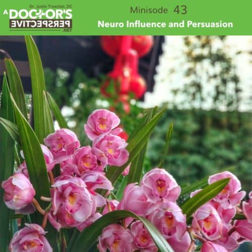 a doctors perspective minisode 43 justin trosclair persuasion