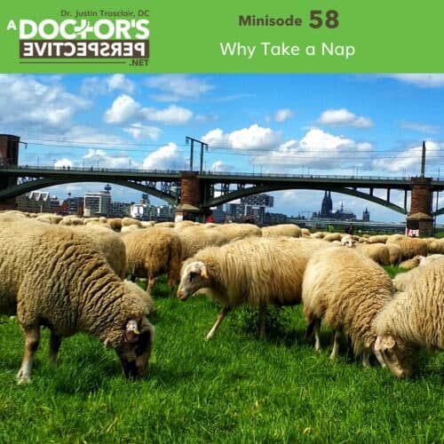 a doctors perspective minisode 58 justin trosclair why take a nap