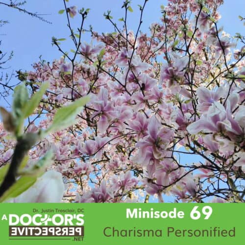 a doctors perspective minisode 69 justin trosclair plum trees japan
